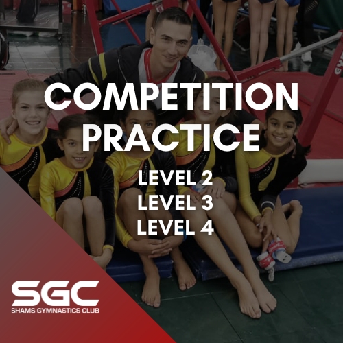 Sunday, March 5th Level 2, 3, 4 Practice